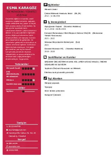 Yönetici Asistanı Cv Örnekleri cv indir